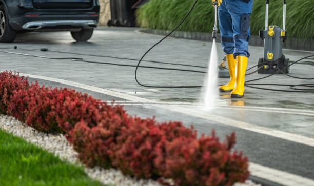 Spring Cleaning in Herald Harbor, MD